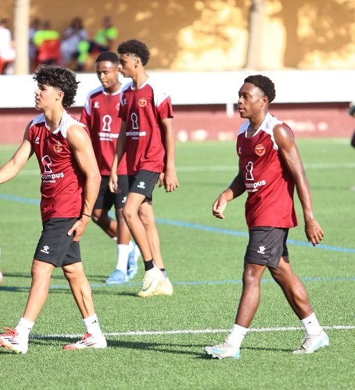 How To Go Pro In Soccer? Scouting, Mindset, Training, And Contracts