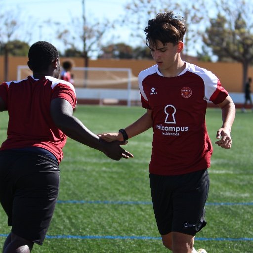 football circuit training partner conditioning drill
